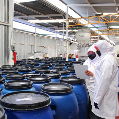 Personal de calidad de Josmac revisando el área de especialidades en planta.